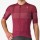 Heren Fietskleding Trofeo Giro d'Italia 2024 jersey - bordeaux