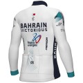 Heren Fietskleding Ale Bahrain Victorious 2025 shirt met lange mouwen