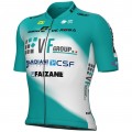 Heren Fietskleding Ale VF Group-Bardiani CSF-Faizane 2025 Shirt Heren Fietskleding Ale VF Group-Bardiani CSF-Faizane 2025 Shirt