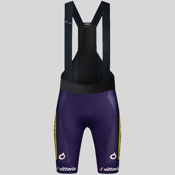 Heren Fietskleding Gobik Wilier Vittoria 2025 Absolute Print K10 Bib Tights
