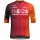 Heren Fietskleding Gobik Ineos Grenadiers 2025 Reactive 2.0-shirt
