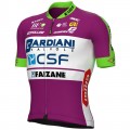 BARDIANI CSF FAIZANE' 2022 wielershirt met korte mouwen (lange ritssluiting)-ALE professioneel wielerteam BARDIANI CSF FAIZANE' 2022 wielershirt met korte mouwen (lange ritssluiting)-ALE professioneel wielerteam
