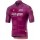 Giro D'Italia 2019 CICLAMINO Wielershirt Korte Mouw
