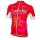 2016 Wielershirt Cofidis Korte Mouw